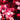 Shining Red Heart Flake