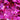 3D Thuliet Hearts Flake