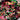 3D Yosemite Colorshift Star Flake
