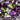3D Golden Purple Round Flake