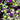 3D Golden Purple Round Flake