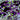 3D Boysenberry Flake Flake