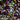3D Boysenberry Flake Flake