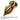 Tiger Venom SuperShift® Flake