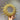 Sonnenspiegel I Sunmirror Mold I Silikonform
