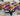 Transparent Saturated Violet Epoxy Resin Pigment Paste