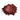 Kandy Red Rum Pearl Pigment