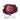 Merlot Red Pearl Pigment
