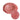 American Rose Pearl Pigment