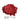 Carbon Red Pearl Pigment