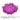 Medium Orchid Thermochromic