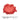 Coral Red Thermochromic