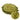 Olive Bronze Metallic Pearl Pigment