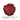 3D Cat Eye Magnetic Grape UltraShift