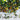 3D Diamond Chamaleon Lawn Flake