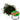 DIPON Transparent Green Dye
