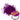 DIPON Transparent Violet Dye