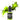DIPON Lime Green Epoxidharz Alkohol Ink Set